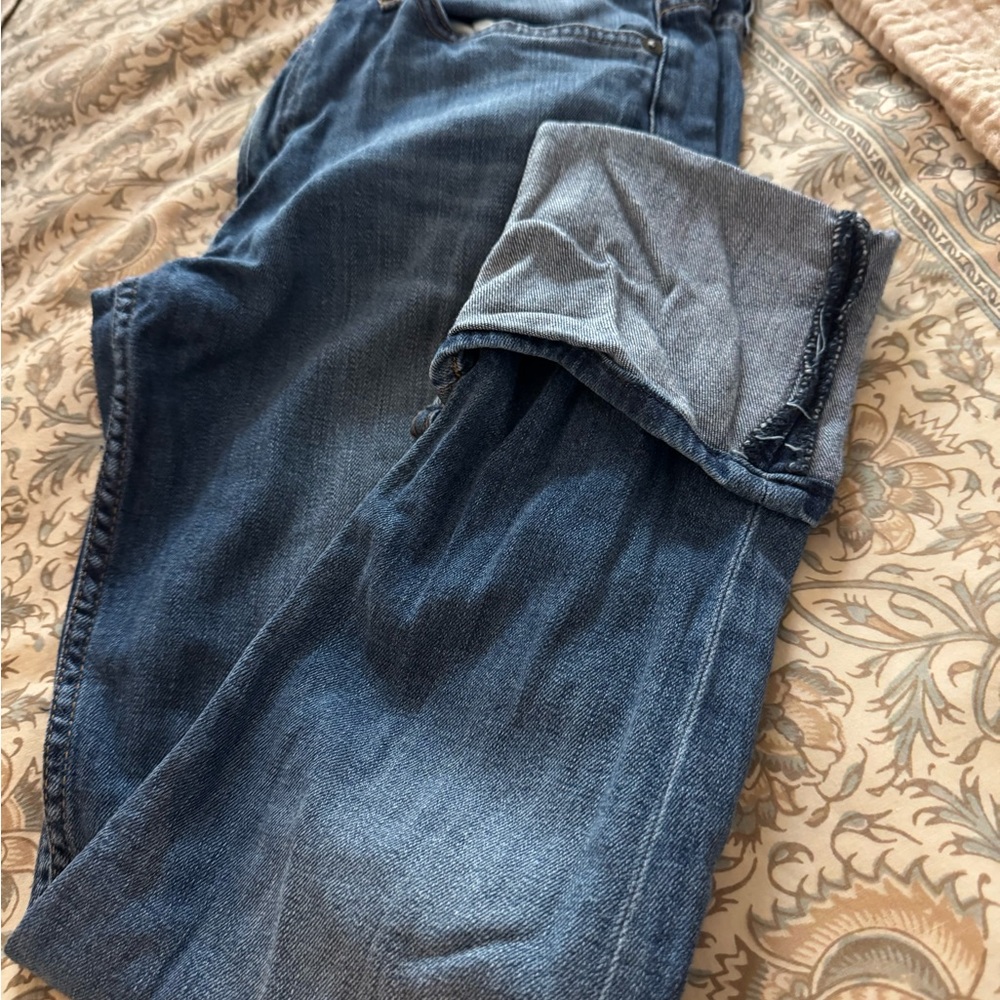 Hudson Jeans Dark Blue Ankle & Cropped
